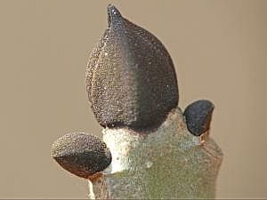 P1190550