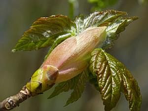 P1190641