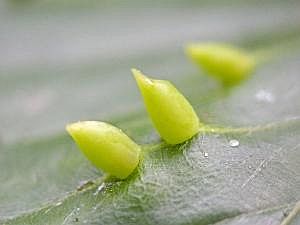P1210787