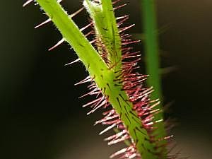 P1220292