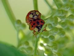 P1120460
