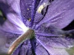P1120526
