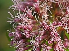 P1090693