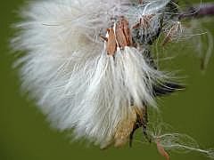 P1090702