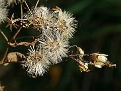 P1090730