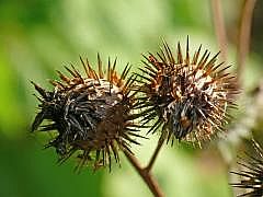 P1090732