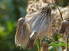 P1090769