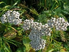 P1090773