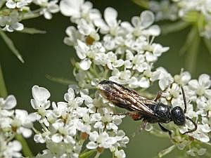 P1220748