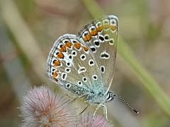 P1130494