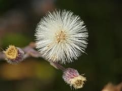 P1130512