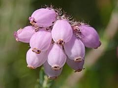 P1130519