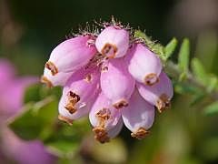 P1130526