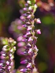 P1130528