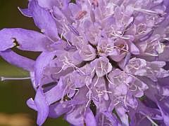 P1130586