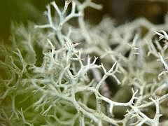 P1130705