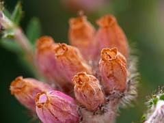 P1130709
