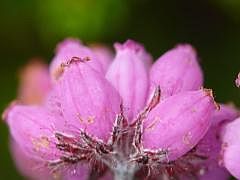 P1130713