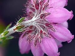 P1130717