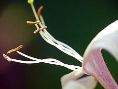 P1130730