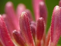 P1130731