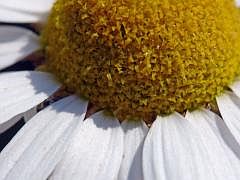 P1130806