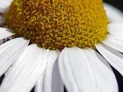 P1130808
