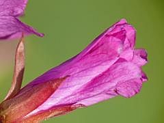 P1130817
