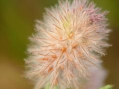 P1140027
