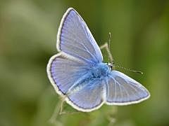 P1140050