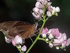 P1180759