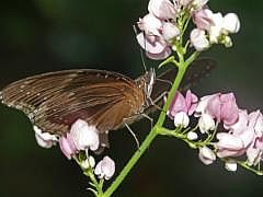 P1180760
