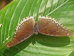 P1180765