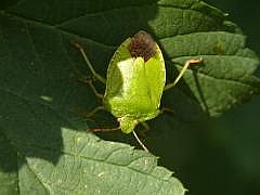 P1080997