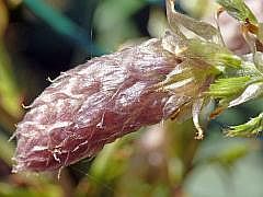 P1110811