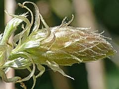 P1110812