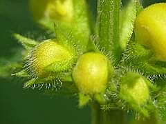 P1110824