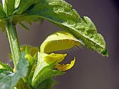 P1110830