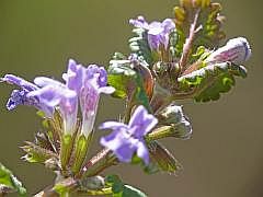 P1110852