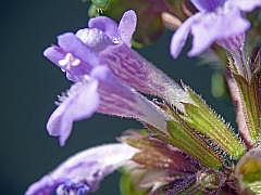 P1110855