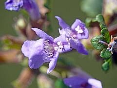 P1110860