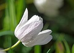 P1110861
