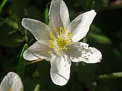 P1110863