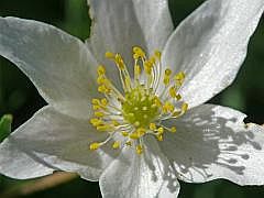 P1110864
