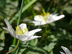 P1110865