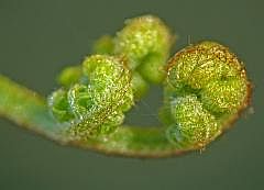P1110879