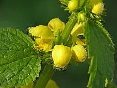 P1110997