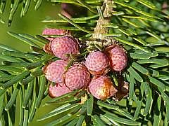 P1120005