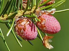 P1120008