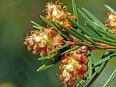 P1120026